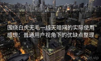 围绕白虎无毛一线天暗网的实际使用感想：普通用户视角下的优缺点整理