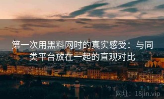 第一次用黑料网时的真实感受：与同类平台放在一起的直观对比