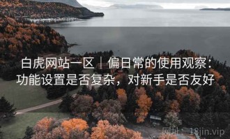 白虎网站一区｜偏日常的使用观察：功能设置是否复杂，对新手是否友好