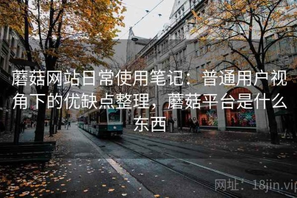 蘑菇网站日常使用笔记：普通用户视角下的优缺点整理，蘑菇平台是什么东西
