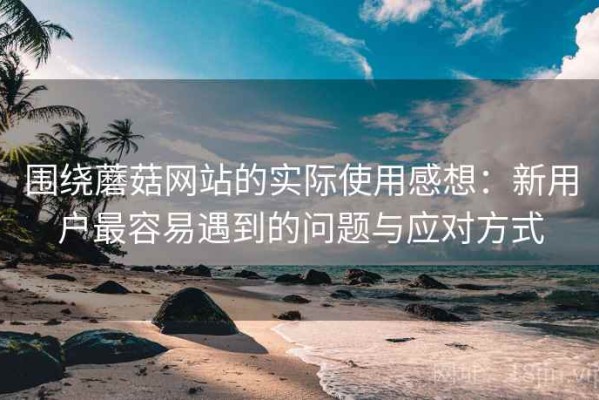 围绕蘑菇网站的实际使用感想：新用户最容易遇到的问题与应对方式