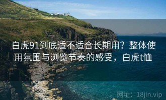 白虎91到底适不适合长期用？整体使用氛围与浏览节奏的感受，白虎t恤