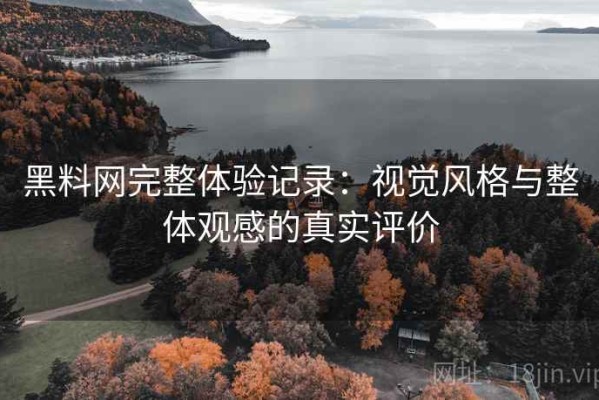 黑料网完整体验记录：视觉风格与整体观感的真实评价
