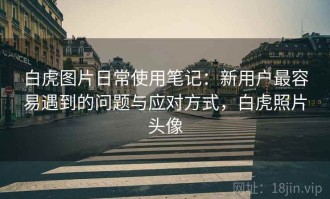 白虎图片日常使用笔记：新用户最容易遇到的问题与应对方式，白虎照片头像
