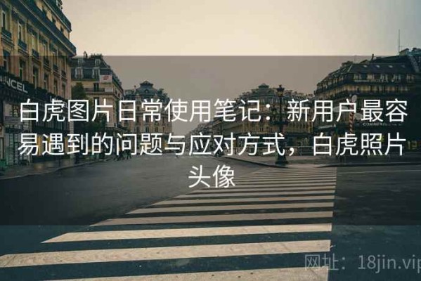白虎图片日常使用笔记：新用户最容易遇到的问题与应对方式，白虎照片头像