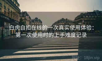 白虎自扣在线的一次真实使用体验：第一次使用时的上手难度记录