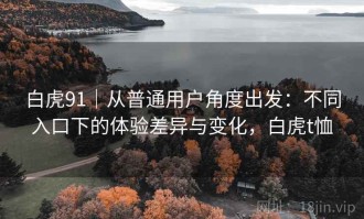 白虎91｜从普通用户角度出发：不同入口下的体验差异与变化，白虎t恤