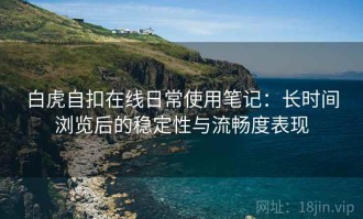 白虎自扣在线日常使用笔记：长时间浏览后的稳定性与流畅度表现