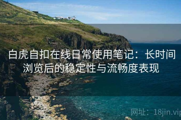 白虎自扣在线日常使用笔记：长时间浏览后的稳定性与流畅度表现