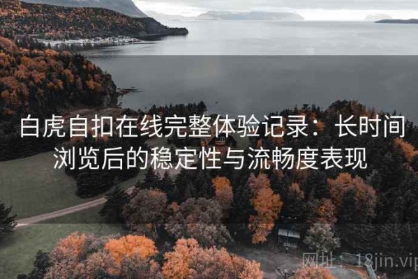 白虎自扣在线完整体验记录：长时间浏览后的稳定性与流畅度表现