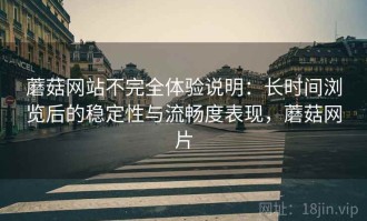 蘑菇网站不完全体验说明：长时间浏览后的稳定性与流畅度表现，蘑菇网片