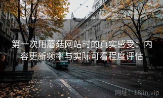 第一次用蘑菇网站时的真实感受：内容更新频率与实际可看程度评估