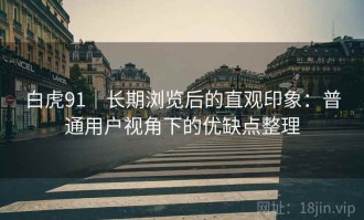 白虎91｜长期浏览后的直观印象：普通用户视角下的优缺点整理