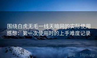 围绕白虎无毛一线天暗网的实际使用感想：第一次使用时的上手难度记录