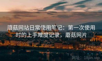 蘑菇网站日常使用笔记：第一次使用时的上手难度记录，蘑菇网片