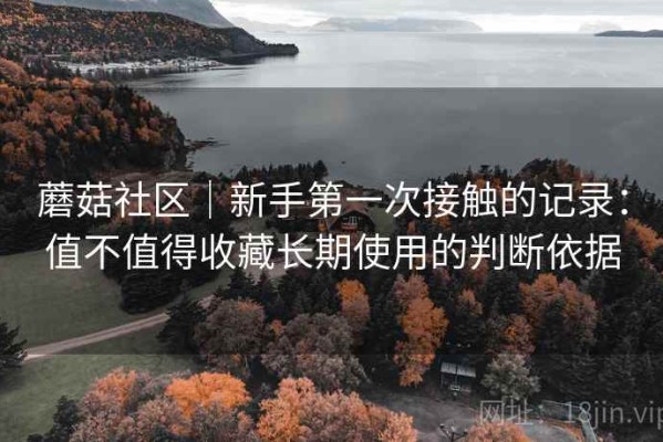 蘑菇社区｜新手第一次接触的记录：值不值得收藏长期使用的判断依据