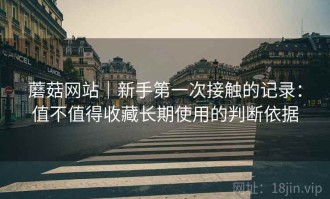 蘑菇网站｜新手第一次接触的记录：值不值得收藏长期使用的判断依据