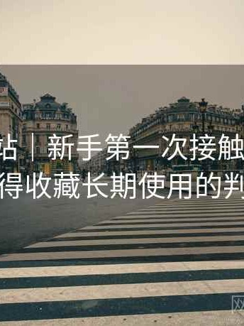 蘑菇网站｜新手第一次接触的记录：值不值得收藏长期使用的判断依据