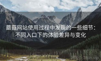 蘑菇网站使用过程中发现的一些细节：不同入口下的体验差异与变化