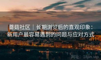 蘑菇社区｜长期浏览后的直观印象：新用户最容易遇到的问题与应对方式