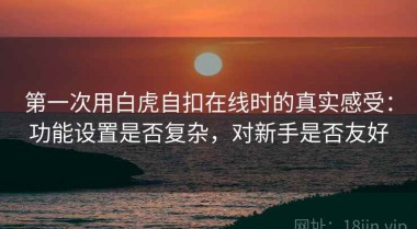 第一次用白虎自扣在线时的真实感受：功能设置是否复杂，对新手是否友好