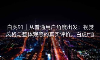 白虎91｜从普通用户角度出发：视觉风格与整体观感的真实评价，白虎t恤