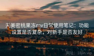 天美密桃果冻mv日常使用笔记：功能设置是否复杂，对新手是否友好