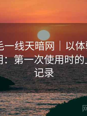 白虎无毛一线天暗网｜以体验为主的简单说明：第一次使用时的上手难度记录