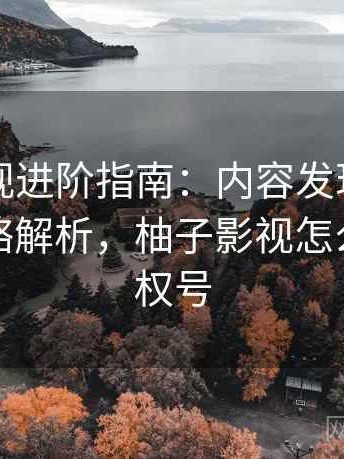 柚子影视进阶指南：内容发现机制与推荐策略解析，柚子影视怎么获取授权号