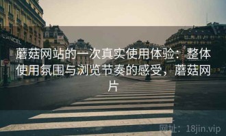 蘑菇网站的一次真实使用体验：整体使用氛围与浏览节奏的感受，蘑菇网片
