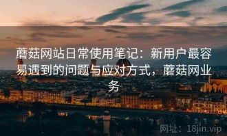 蘑菇网站日常使用笔记：新用户最容易遇到的问题与应对方式，蘑菇网业务