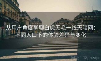 从用户角度聊聊白虎无毛一线天暗网：不同入口下的体验差异与变化