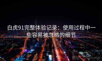 白虎91完整体验记录：使用过程中一些容易被忽略的细节