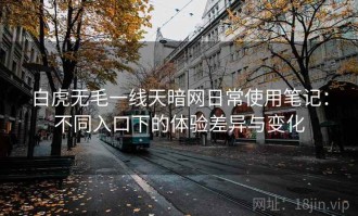 白虎无毛一线天暗网日常使用笔记：不同入口下的体验差异与变化