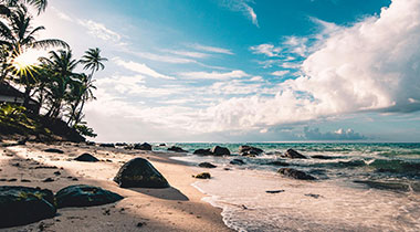 蘑菇tv完整体验记录：从打开到使用顺手所经历的全过程，蘑菇tv怎么样