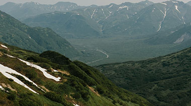 白虎网站一区｜偏日常的使用观察：功能设置是否复杂，对新手是否友好