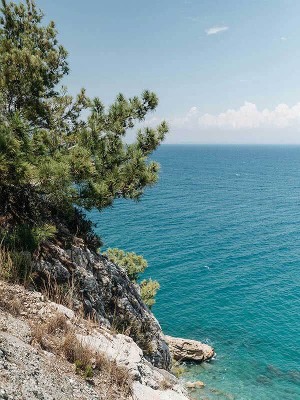 蘑菇网站日常使用笔记：新用户最容易遇到的问题与应对方式，蘑菇网业务