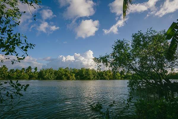 白虎嫩白完整体验记录：内容更新频率与实际可看程度评估