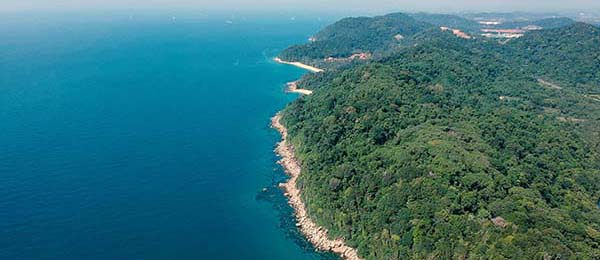 一文精通糖心app：用户反馈汇总与改进方向分析（长期验证版）