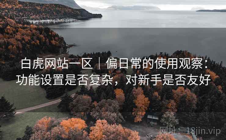白虎网站一区|偏日常的使用观察:功能设置是否复杂,对新手是否友好 白虎网站一区|偏日常的使用观察:功能设置是否复杂,对新手是否友好