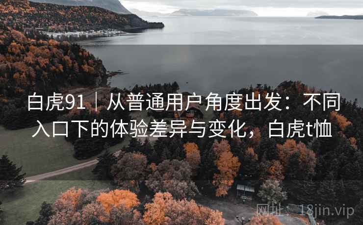 白虎91|从普通用户角度出发:不同入口下的体验差异与变化,白虎t恤 白虎91|从普通用户角度出发:不同入口下的体验差异与变化,白虎t恤