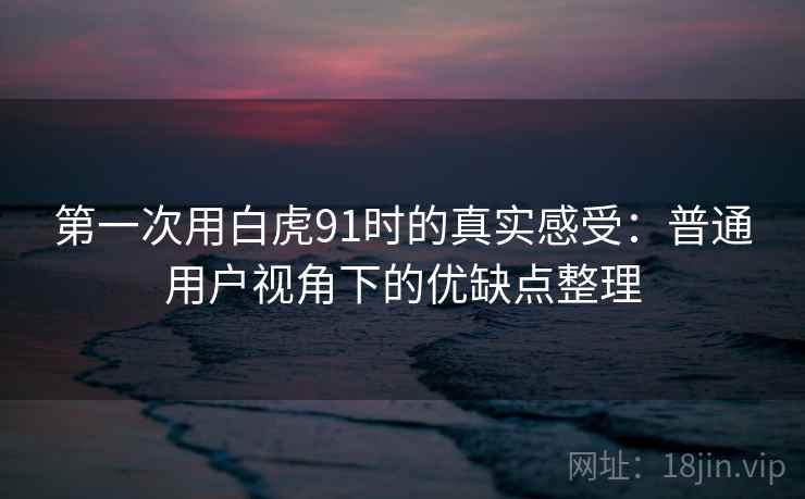 第一次用白虎91时的真实感受:普通用户视角下的优缺点整理 第一次用白虎91时的真实感受:普通用户视角下的优缺点整理