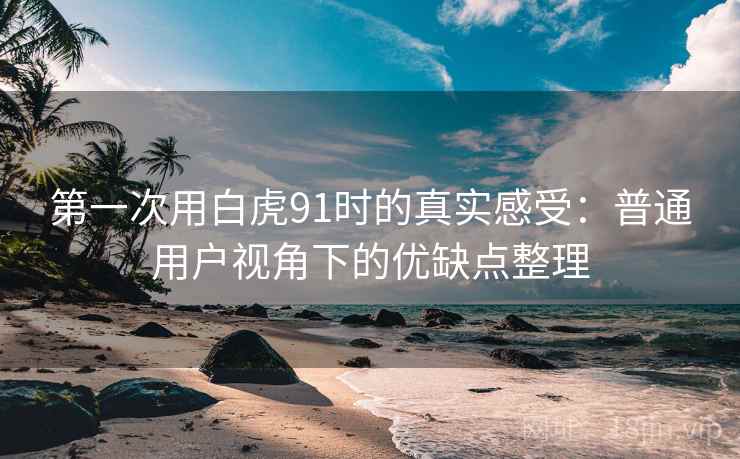 第一次用白虎91时的真实感受:普通用户视角下的优缺点整理 第一次用白虎91时的真实感受:普通用户视角下的优缺点整理