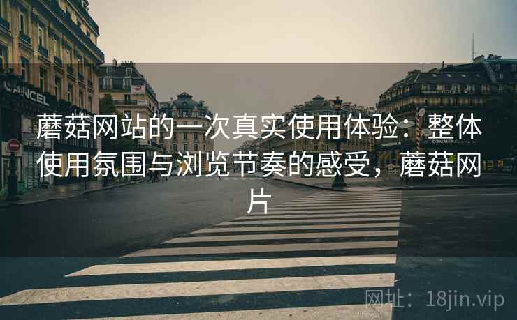 蘑菇网站的一次真实使用体验:整体使用氛围与浏览节奏的感受,蘑菇网片 蘑菇网站的一次真实使用体验:整体使用氛围与浏览节奏的感受,蘑菇网片