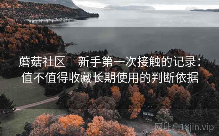 蘑菇社区｜新手第一次接触的记录：值不值得收藏长期使用的判断依据
