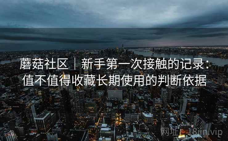蘑菇社区｜新手第一次接触的记录：值不值得收藏长期使用的判断依据