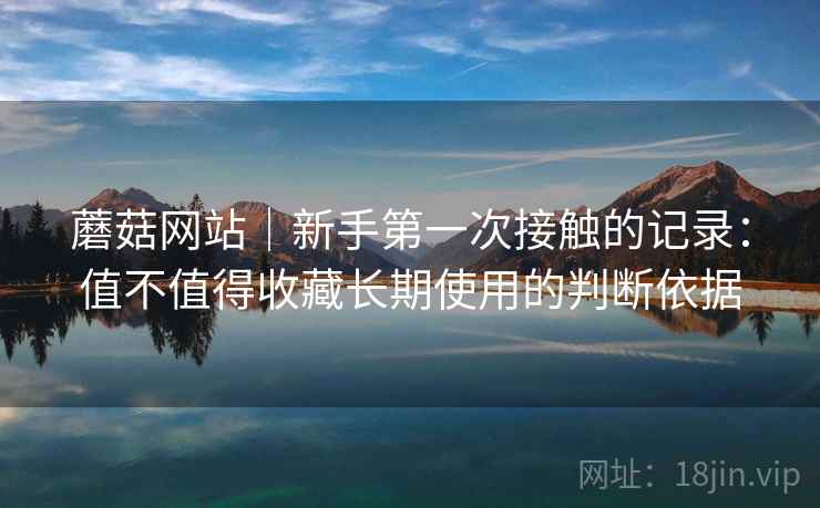 蘑菇网站｜新手第一次接触的记录：值不值得收藏长期使用的判断依据