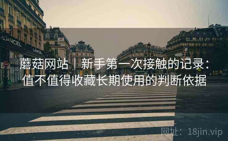 蘑菇网站｜新手第一次接触的记录：值不值得收藏长期使用的判断依据