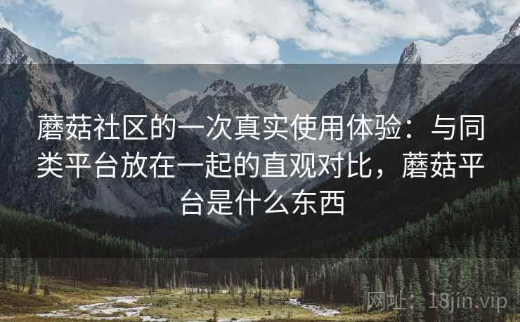 蘑菇社区的一次真实使用体验：与同类平台放在一起的直观对比，蘑菇平台是什么东西