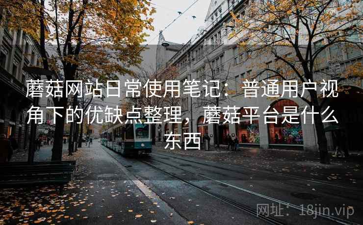 蘑菇网站日常使用笔记：普通用户视角下的优缺点整理，蘑菇平台是什么东西